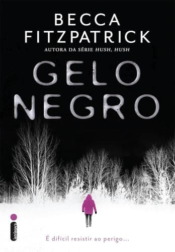 Capa do livro Gelo negro